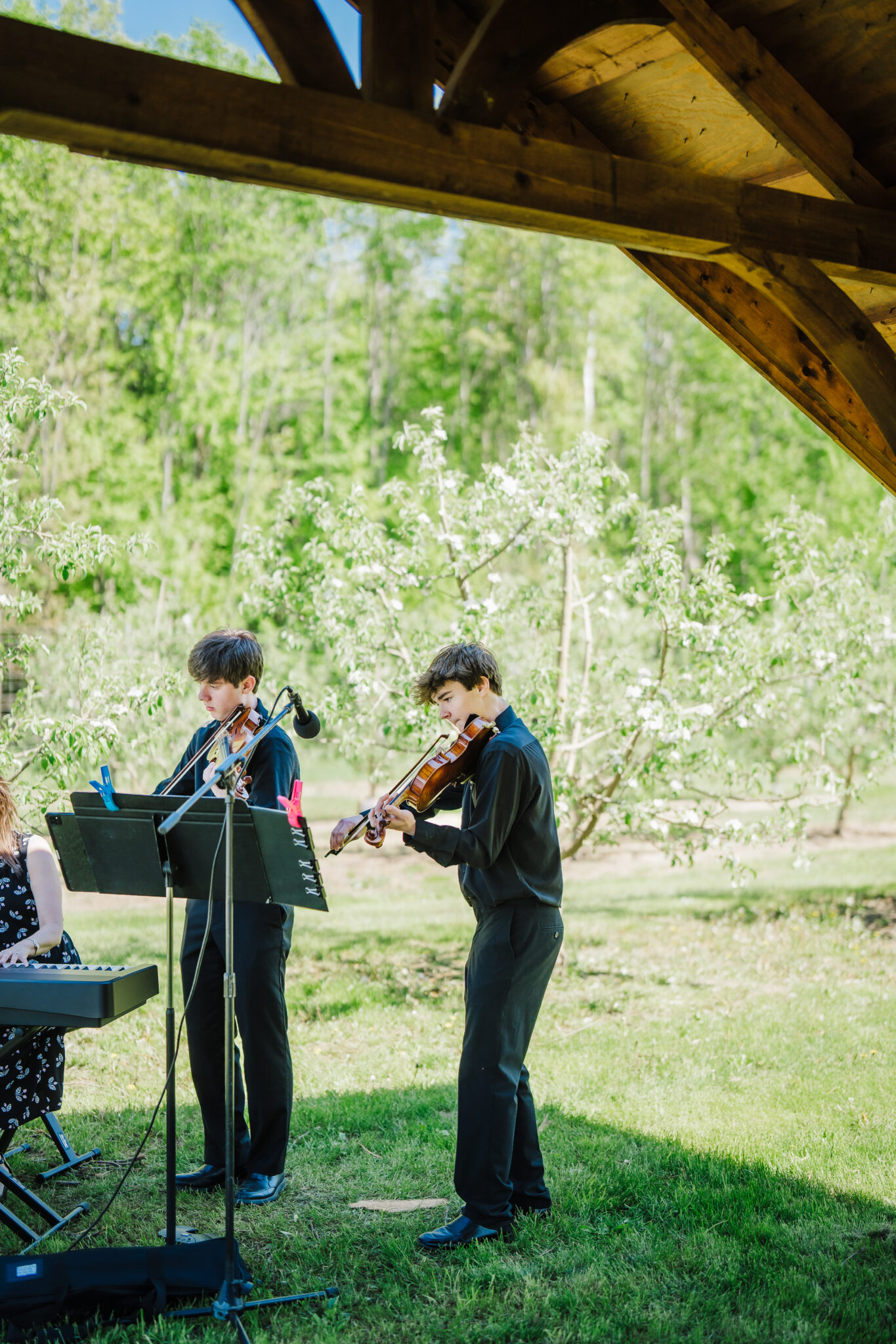 A live orchestra plays at a small wedding ceremony at Dixon Apple Orchard in Chippewa Valley, Wisconsin. Live Music Orchard Wedding Outdoor Ceremony #dixonappleorchard #orchardweddingvenue #outdoorwedding #appleorchardwedding #wisconsinweddingvenue