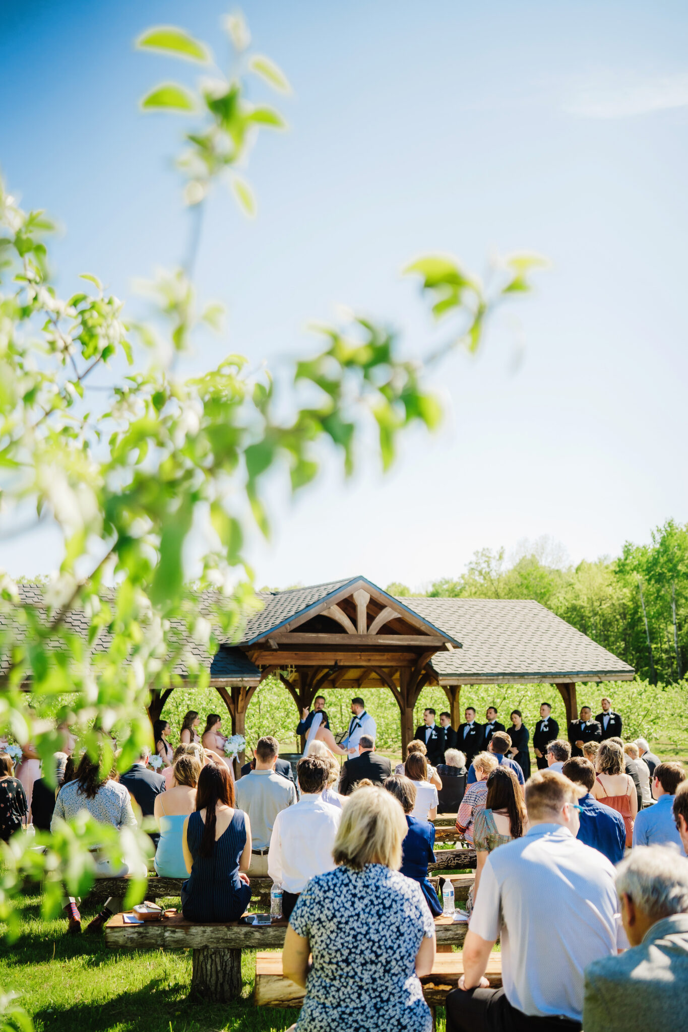 Family and friends are gathered for a spring wedding at Dixon Apple Orchard in Chippewa Valley, Wisconsin. Outdoor wedding ceremony Log bench seating #dixonappleorchard #orchardweddingvenue #outdoorwedding #appleorchardwedding #wisconsinweddingvenue