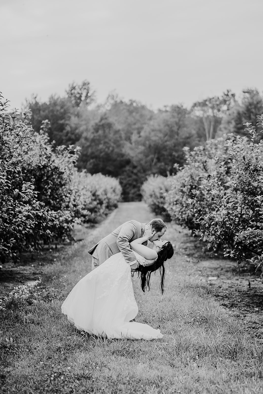 A happy groom kisses his bride between rows of trees in a Wisconsin apple orchard. Black and white bridals Bride and groom pose Chippewa Valley wedding #dixonappleorchard #orchardweddingvenue #outdoorwedding #appleorchardwedding #wisconsinweddingvenue